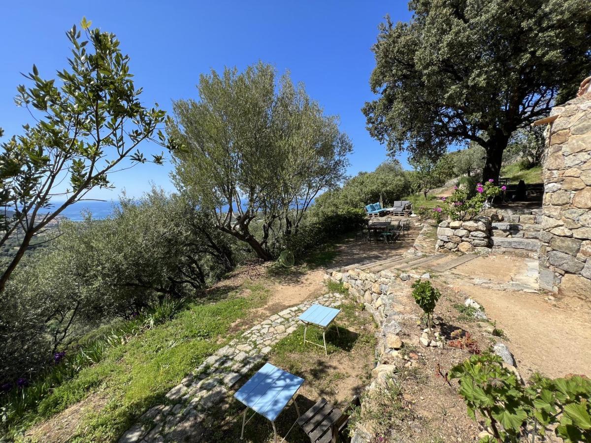 Casa Musicale Hotel Pigna ภายนอก รูปภาพ